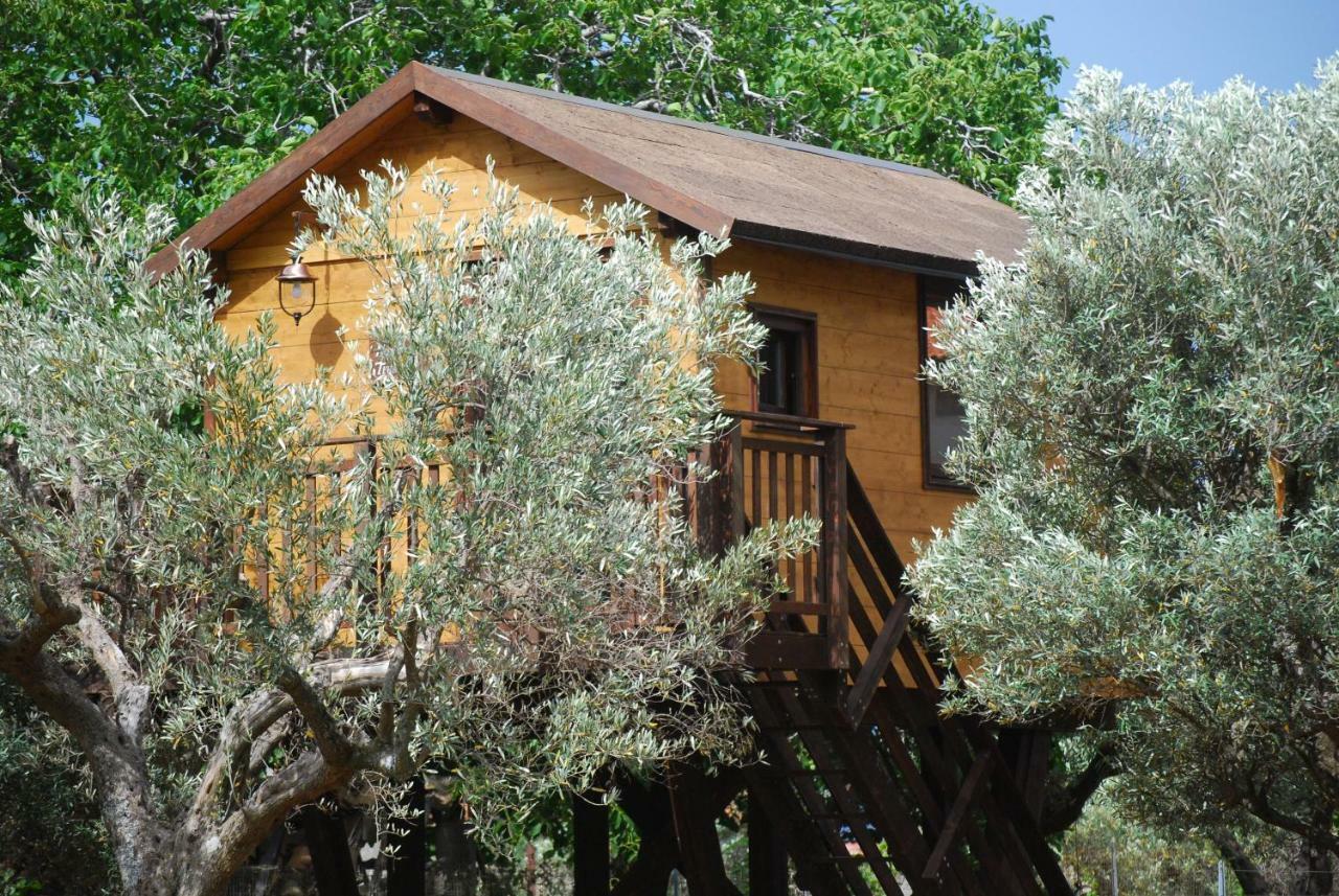 Palazzo Conforti Tree House Resort Rende Εξωτερικό φωτογραφία