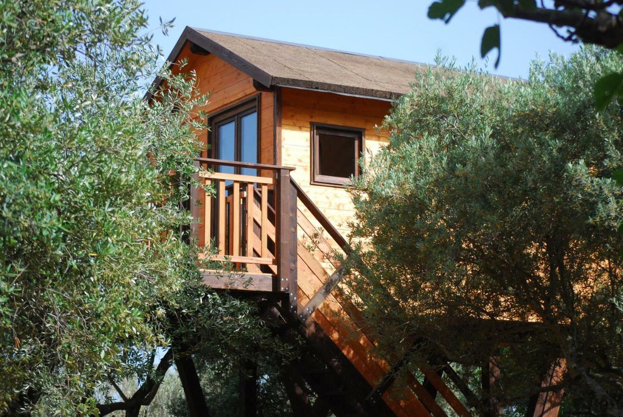 Palazzo Conforti Tree House Resort Rende Εξωτερικό φωτογραφία