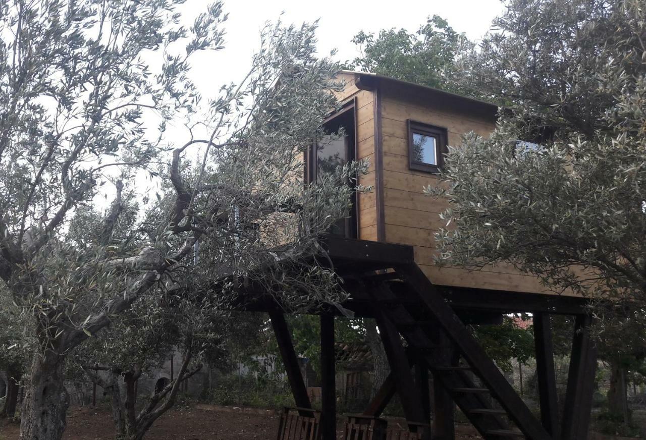 Palazzo Conforti Tree House Resort Rende Εξωτερικό φωτογραφία