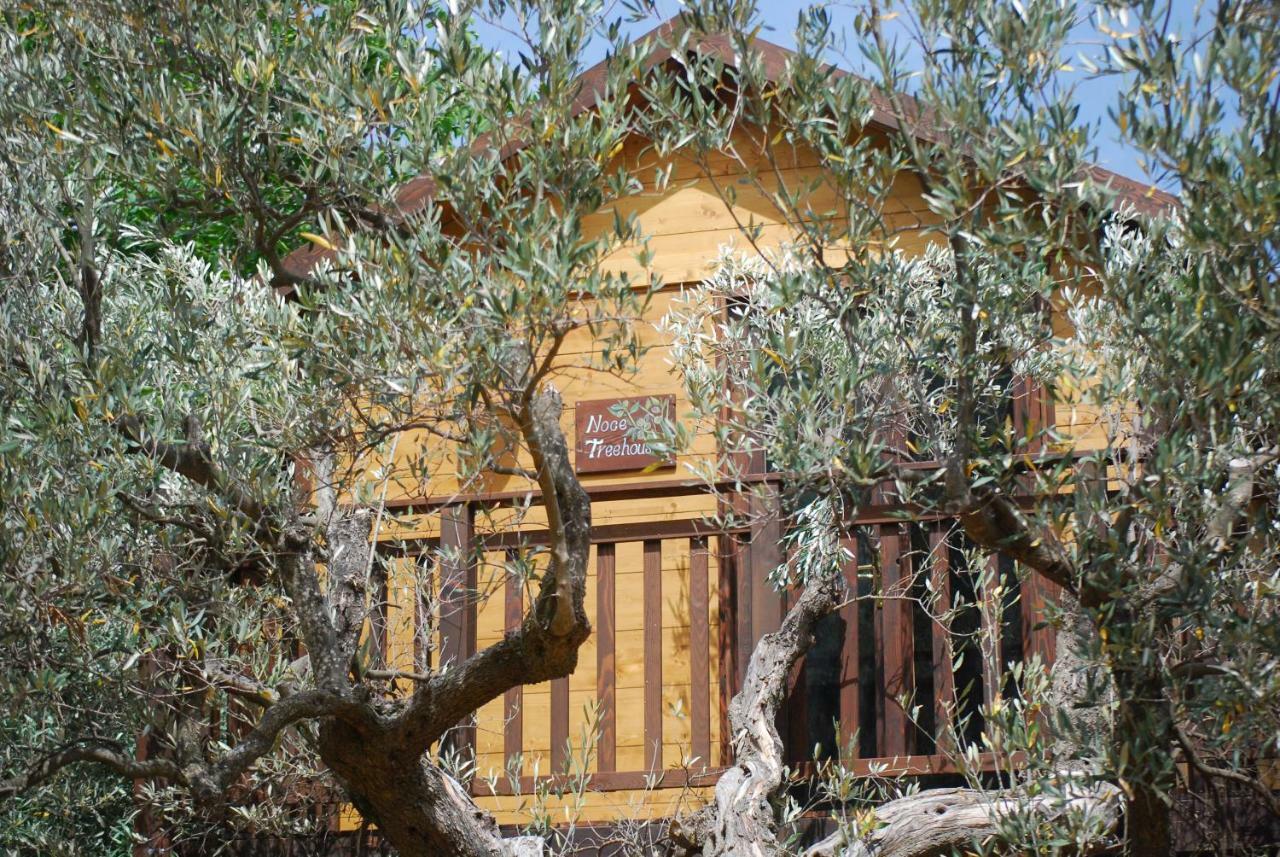 Palazzo Conforti Tree House Resort Rende Εξωτερικό φωτογραφία