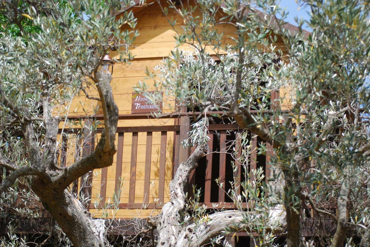 Palazzo Conforti Tree House Resort Rende Εξωτερικό φωτογραφία