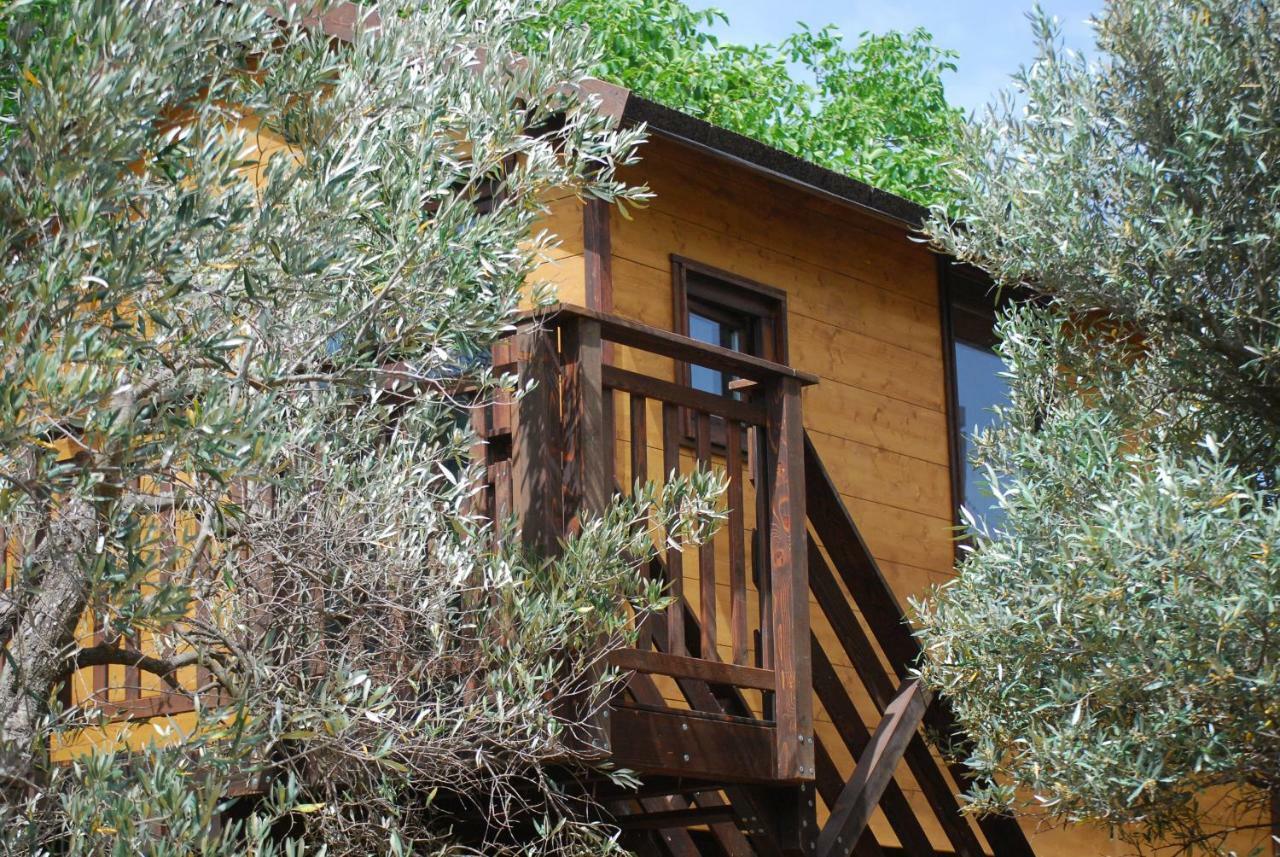 Palazzo Conforti Tree House Resort Rende Εξωτερικό φωτογραφία