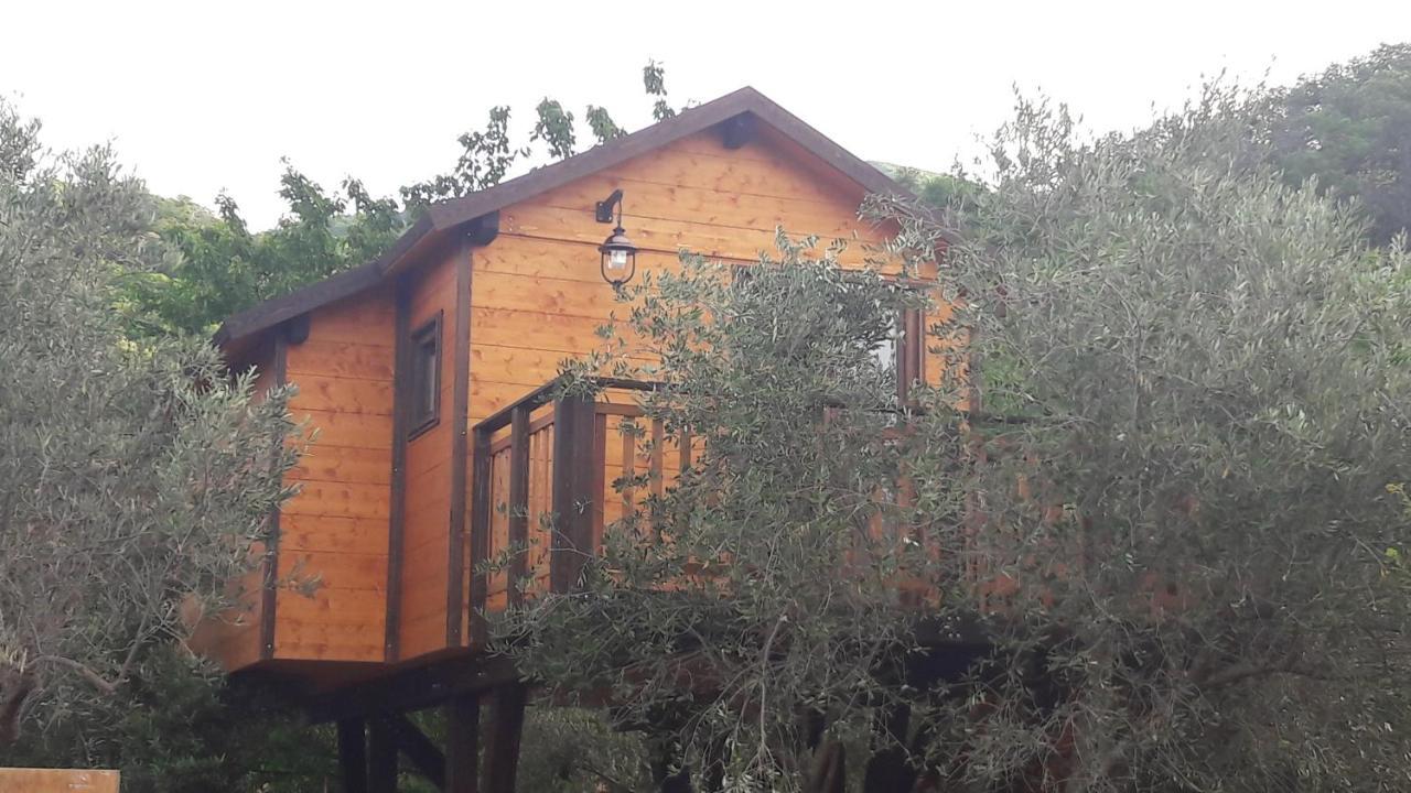 Palazzo Conforti Tree House Resort Rende Εξωτερικό φωτογραφία