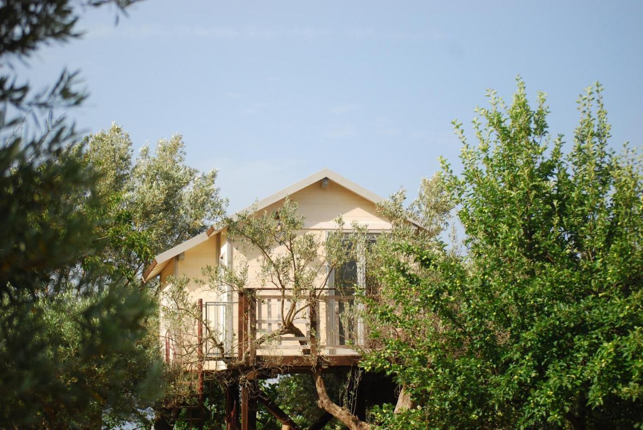 Palazzo Conforti Tree House Resort Rende Εξωτερικό φωτογραφία