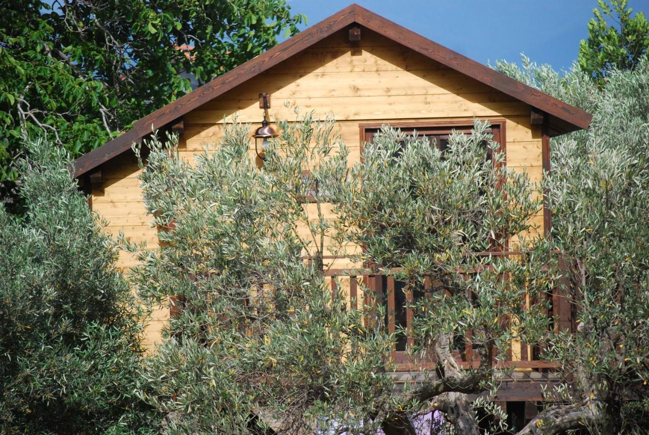 Palazzo Conforti Tree House Resort Rende Εξωτερικό φωτογραφία