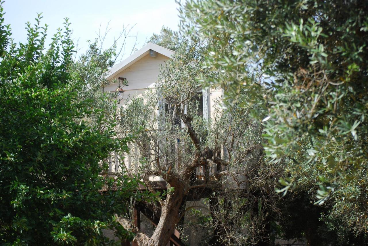 Palazzo Conforti Tree House Resort Rende Εξωτερικό φωτογραφία